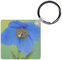 3dRose Blue Himalayan Poppy flower, Sammamish, Washington - US48 DGU0152 - Darrell Gulin - Key Chains, 2.25 x 4.5 inches, set of 2 (kc_95357_1)