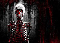 Succeedtop Halloween Night Backdrops Moon Pumpkin Vinyl 5x3FT Lantern Background Photography Studio Photo Studio Props （Skeleton Man/Moon/Castle/Pumpkin/Star） 15090cm (A(15090cm))