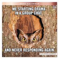 2020 Animal Memes Wall Calendar (LME3101020)