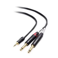 Cable Matters 3.5mm TRS to Dual 6.35mm TS Breakout Cable, 1/8 to Dual 1/4 Cable - 10 Feet