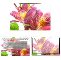 decalrus - Protective Decal Floral Skin Sticker for HP Envy 17M-BW0013DX (17.3" Screen) case Cover wrap HPenvy17m_bw0013dx-206