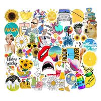 53 Pcs Street Fashion Sticker Decals for Laptops Cars Water Bottle Luggages Ipad Street Doodle Sticker Set Waterproof Sticker (Summer)