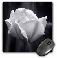 3dRose LLC 8 x 8 x 0.25 Inches Mouse Pad, Black and White Single Rose (mp_34607_1)