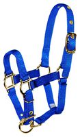 Hamilton Adjustable Miniature Nylon Horse Halter