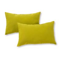 Greendale Home Fashions Rectangle Outdoor Accent Pillow (set of 2), Kiwi