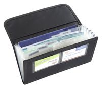 High Road Glove Box Organizer with Expandable Files