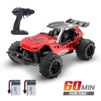 DEERC Remote Control Car High Speed RC Racing Cars 20 KM/H, 2.4 GHZ Buggy Toy Car for Kids, 2 Rechargeable Batteries for 60 Min Play, Toy Gifts for Boys & Girls