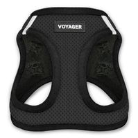 Voyager Step-In Air Dog Harness - All Weather Mesh, Step In Vest Harness for Small and Medium Dogs by Best Pet Supplies - Black Base, Large (Chest: 18" - 21")