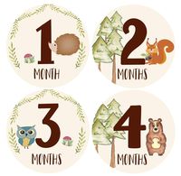 Mumsy Goose Baby Boy Month Stickers (1-12 Months) Woodland Rustic Boy 1st Year Milestone Stickers Made in The USA