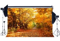 RBabyPhoto Autumn Forest Backdrop 7X5FT Rural Sunshine Falling Golden Leaves Dirt Road Patch Fall Greeting Harvest Photography Background for Person Thanksgiving Day Photo Studio Props Vinyl CK126