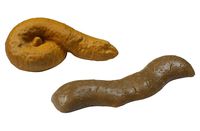 2 Pack of Novelty Fake Poop Toys, Floats on Water, Perfect Gag Gift, Prank Gift, Two Realistic Poop Designs, Fake turd for Real Laughs