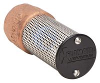Spring Foot Valve, Lead Free Bronze, 1 In.