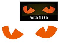 Orange Cat Eyes Decal Reflective Reflector Devil Demon Evil Tiger No Fear Sticker 6" Inches Wide Flash Night Vinyl Sport Motorbike Helmet Motorcycle Bike Racing Car Badge Sticker Door Window Tailgate Truck Trunk Side Rear Emblem Laptop Notebook