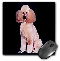 3dRose LLC 8 x 8 x 0.25 Inches Mouse Pad, Pink Poodle (mp_255_1)