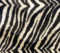 Velboa Faux Fur Fabric Zebra Beige / 60" Wide/Sold by The Yard