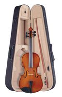 Palatino VA-350-15 Campus Viola Outfit, 15 Inches