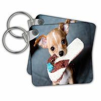 3dRose 2 Durable Key Chain (kc_255366_1)