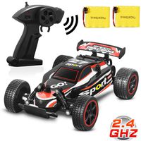 Blexy RC Racing Cars 2.4Ghz High Speed Rock Off-Road Vehicle 1:20 2WD Radio Remote Control Racing Toy Cars Electric Fast Race Buggy Hobby Car Green 211 (Red)