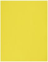 Envelopes.com Durable Heavy-Weight Cardstock Paper - 81211-P-14-250, (Pack of 250)