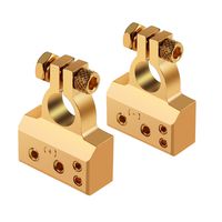 AUTOUTLET 2PCS Car Battery Terminal Connectors Kit 4/8 Gauge AWG Positive & Negative Chrome Battery Terminals Gold