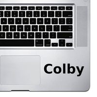 (2X) StickAny Palm Series Colby Sticker for MacBook Pro, Chromebook, and Laptops (Black)