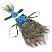 ZTL Newborn Baby Photography Props Novelty Peacock Costume Outfits with Headband