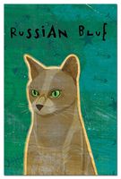 Tree-Free Greetings Eco-Notes Notecard Set, 4 x 6 Inches, 12-Count Notecards with Envelopes, Russian Blue (65046)