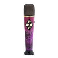 Descendants Voice Changing Microphone Music Set