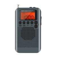 AM FM Pocket Radio, 2018 Upgrade ALLOMN Portable Digital Tuning AM FM Stereo Radio with Time Alarm Memo Function LCD Display and Earphone for Walking (Upgrade2 Gray)