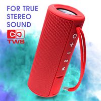 EBODA Portable speaker, Waterproof Wireless outdoor bluetooth shower speaker with TWS, AUX, 15W Bass Sound, Built-in Mic, Floating, Hands-Free, Bluetooth 4.2, for beach, Sport, bath, Pool, Travel(Red)