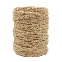 Tenn Well 5mm Jute Twine, 100 Feet Braided Natural Jute Rope for Artworks and Crafts, Macrame Projects, Gardening Applications