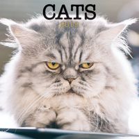 Turner Photo Cats 2019 Wall Calendar (199989400120 Office Wall Calendar (19998940012)