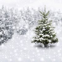 GoodsFederation 8x8ft Winter Snow Landscape Photo Backdrop Christmas Tree Photography Backdrops Christmas Photo Background Pictorial Cloth Studio Props SDJ-208