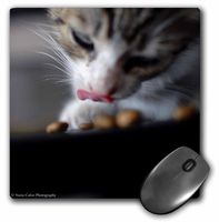 3dRose LLC 8 x 8 x 0.25 Inches Cute Kitten Eating Pattern Mouse Pad (mp_47174_1)