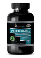Natural Digestive Supplements - PROBIOTIC Complex 500 MG - Dietary Supplement - probiotic Weight Loss Supplement - 1 Bottle 60 Capsules