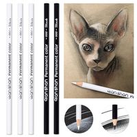 5Pcs Black White Color Pencils - Permanent Color Drawing Pencil Oil-based Wooden Colored Pencils for Artist and Beginner Art Projects, 2 Colors of 3 White, 2 Black