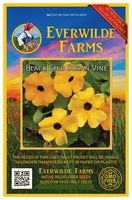 Everwilde Farms - 100 Black-Eyed Susan Vine Wildflower Seeds - Gold Vault Jumbo Seed Packet