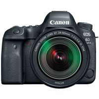 Canon EOS 6D Mark II with EF 24-105mm is STM Lens - WiFi Enabled