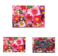 Protective Decal Skin Skins Sticker for Lenovo Yoga Book Tablet (10.1" Screen) case Cover wrap LEyogabook10-211