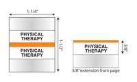 Tabbies Medical Chart Index Tabs"Physical Therapy" 1-1/4"W x 1/2"H, Orange, 100 Tab Inserts Per Pack (54571)