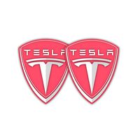 Stickernaut Decals Compare to Tesla Badge Tesla Emblem Fuchsia Sticker for Water Bottles Car Decals 2 Pack [Premium Matte Waterproof Vinyl]