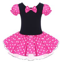 IBTOM CASTLE Kids Wedding Costume Flower Girl Tutu Dress Polka Dot First Birthday Halloween Fancy Dress Up Princess Outfits Rose Without 3D Ears 18-24 Months