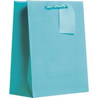 Jillson Roberts 6-Count Medium 8" x 10" x 4" All-Occasion Gift Bags Available in 20 Solid Colors, Robin's Egg Blue Matte