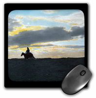 3dRose LLC 8 x 8 x 0.25 Inches Indian Rider in Sunset Horizon in The American Southwest Mouse Pad (mp_16131_1)