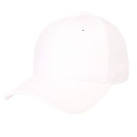 Zephyr Mens DH Fitted Hat, White, 7 1/4