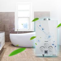 6L Electric Gas Water Heater,Vinmax Instant Household Propane LP GAS Hot Water Heater Tankless with Shower Head for Bathroom LCD Temperature Display,110V (Shipping from US)