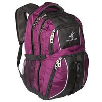 Exos Backpack, (Laptop, Travel, School or Business) Urban Commuter (Purple with Black Trim)