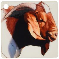 3dRose Boer Doe Goat Head - Key Chains, 2.25 x 4.5 inches, set of 2 (kc_1260_1)