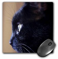 3dRose LLC 8 x 8 x 0.25 Inches Extreme Close-Up of Black Cat Pattern Mouse Pad (mp_49295_1)
