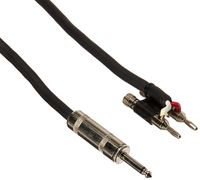 Seismic Audio BS12Q100-2Pack 100-Feet Pro Audio Banana to 1/4-Inch Speaker Cable 12-Gauge, Pair